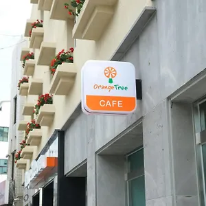 オレンジ ツリー 済州市